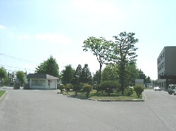 maeniwa