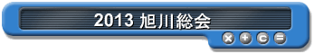 2010 _ˑ